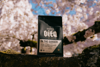 In The Garden: Ethiopia Sidamo Taferi Kela